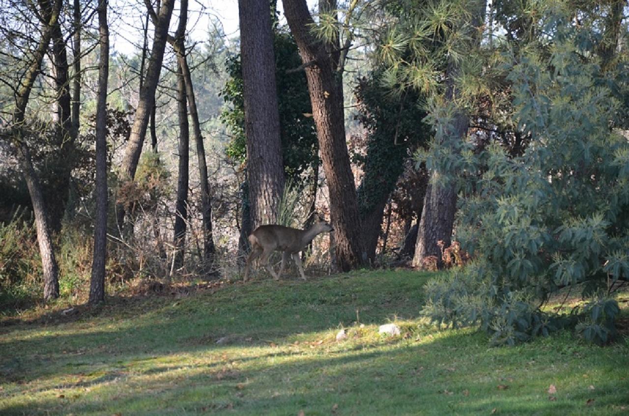 L'Hippocampe Serent Exterior photo