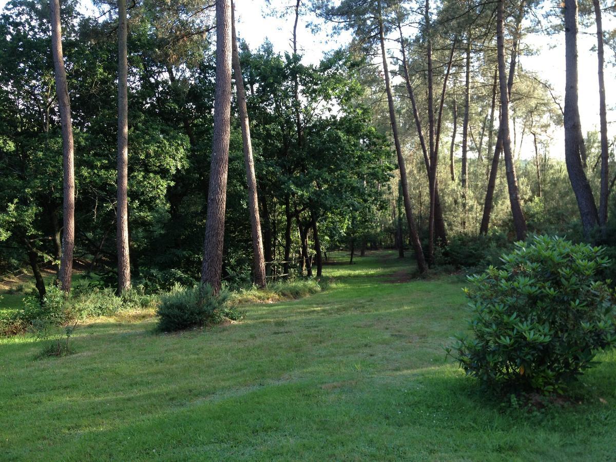 L'Hippocampe Serent Exterior photo